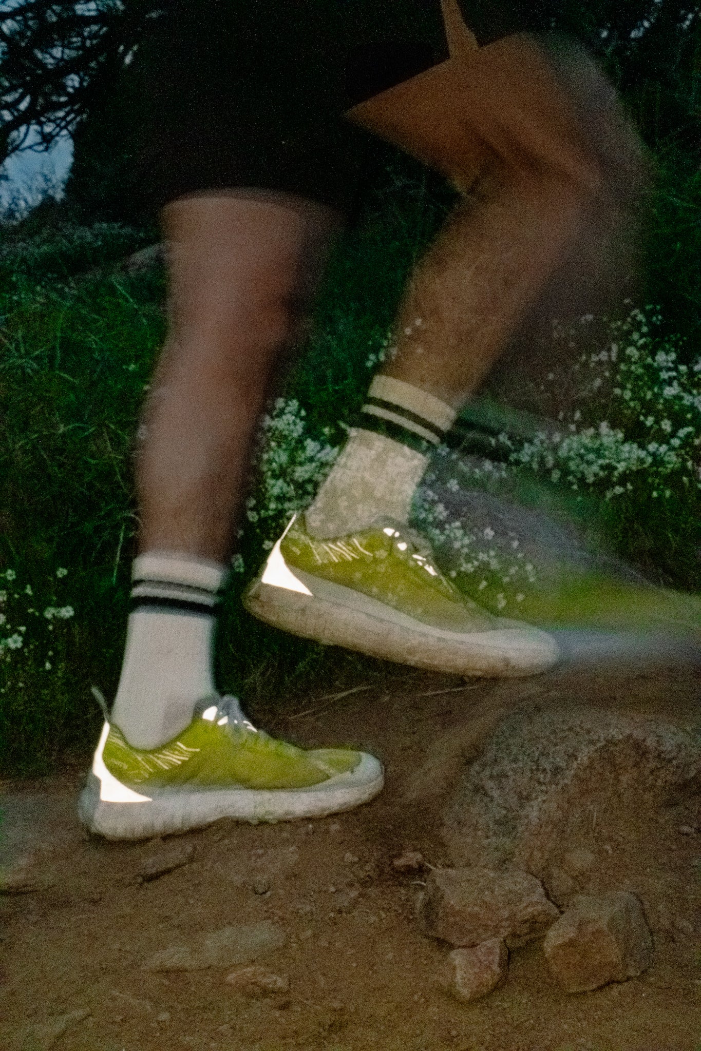 Team Socks